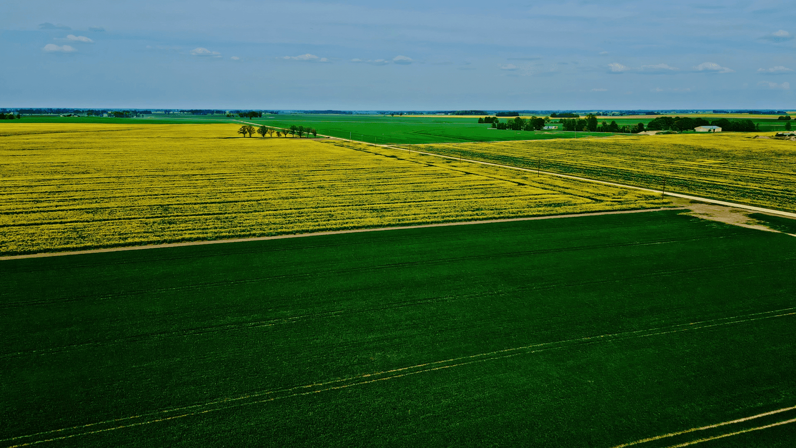 Aerial view of cultivated farmland