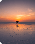 GUJARAT