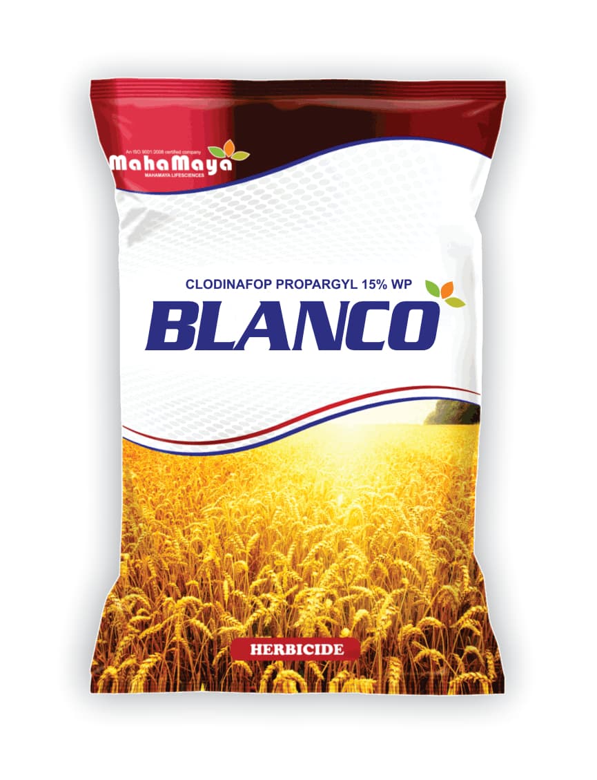 BLANCO