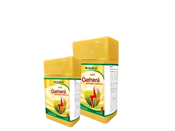 gehena