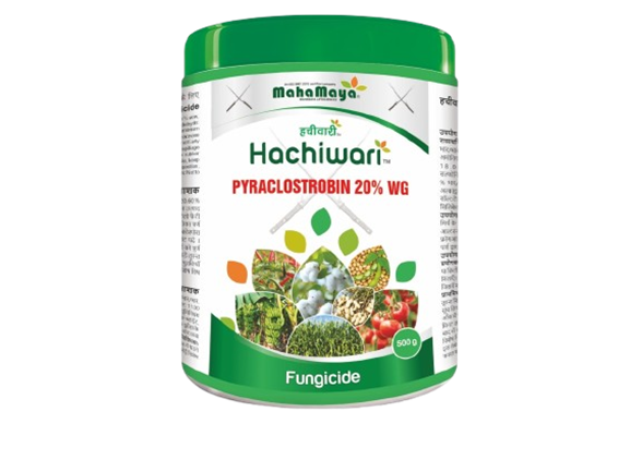 hachiwari